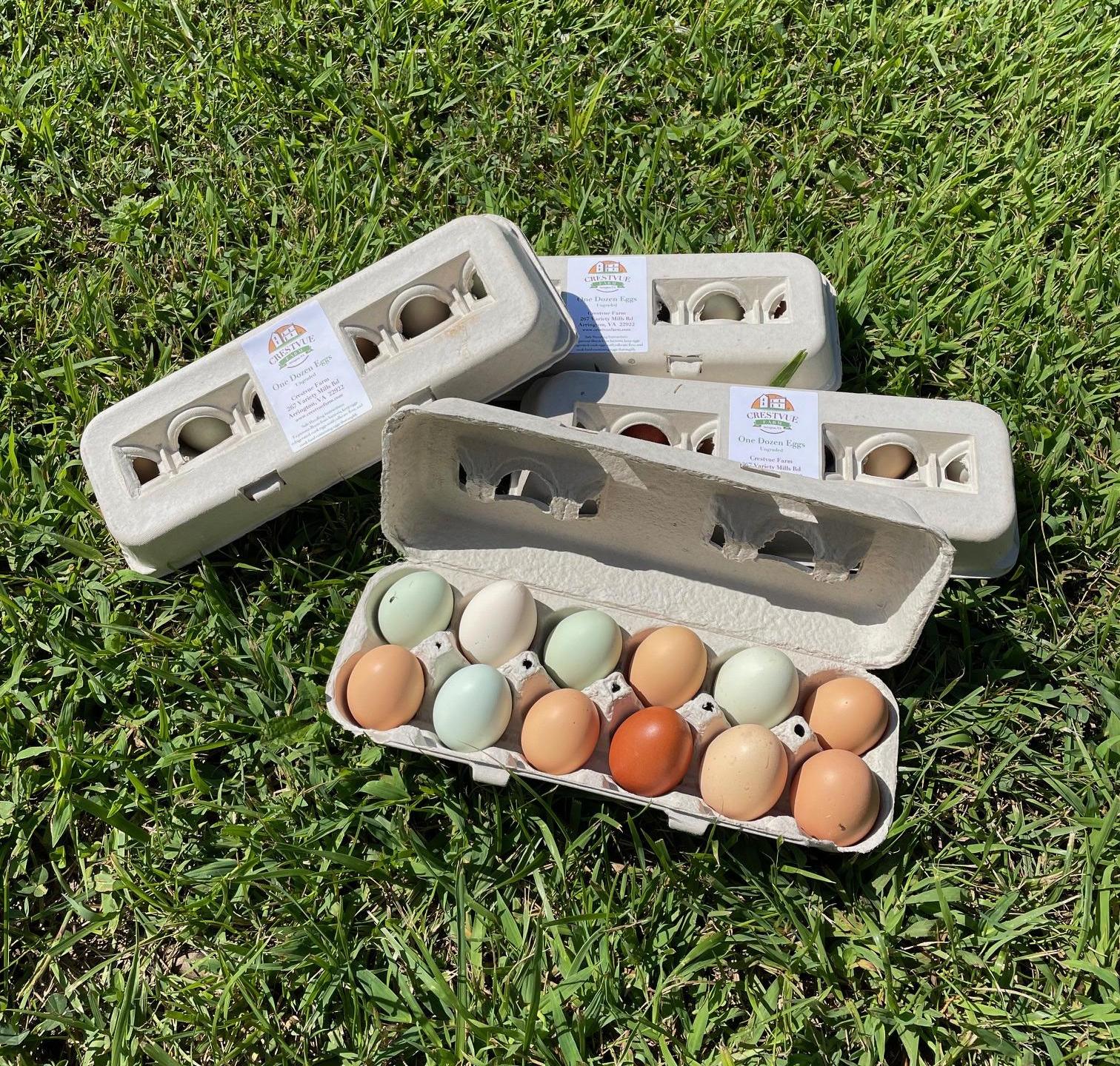 4 dozen Crestvue Farm eggs in cartons